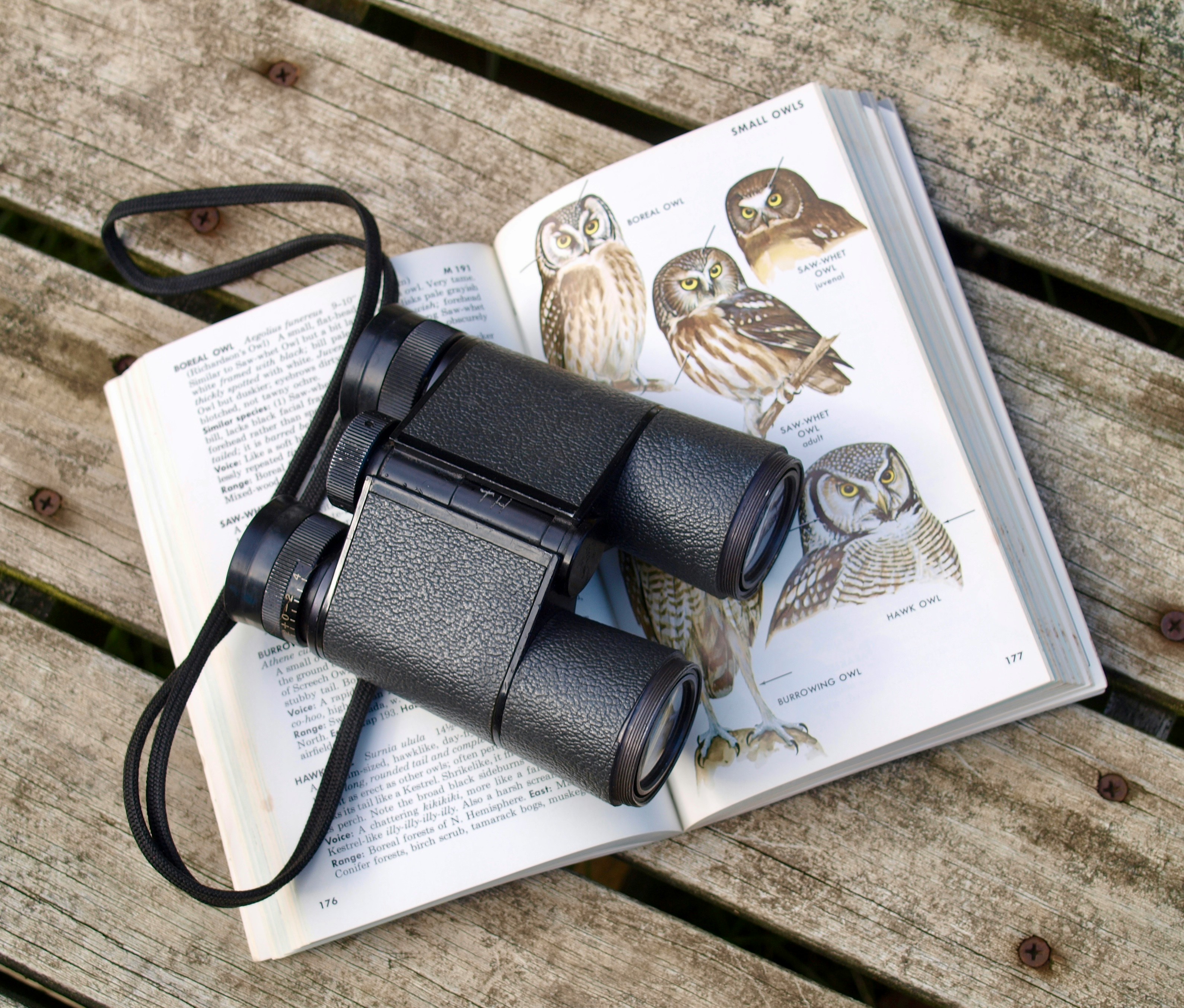 photo of binoculars on birding book